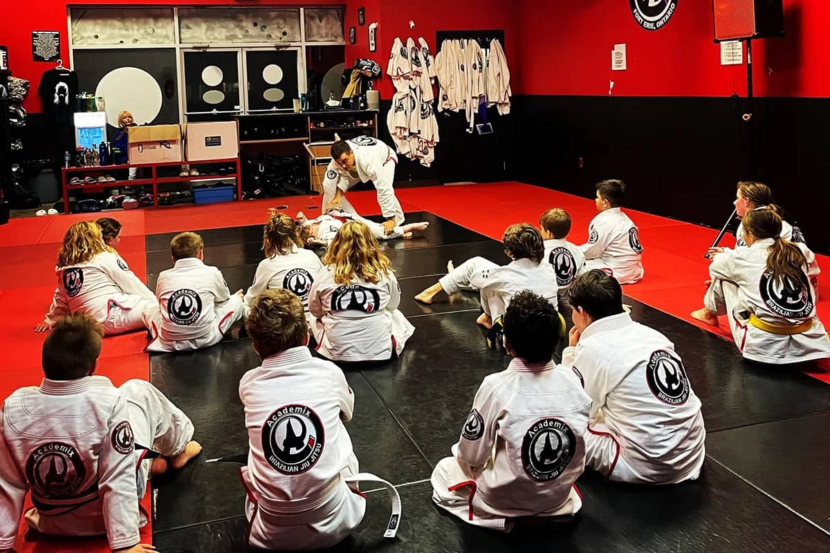 Brazilian Jiu-Jitsu at Academix Academy